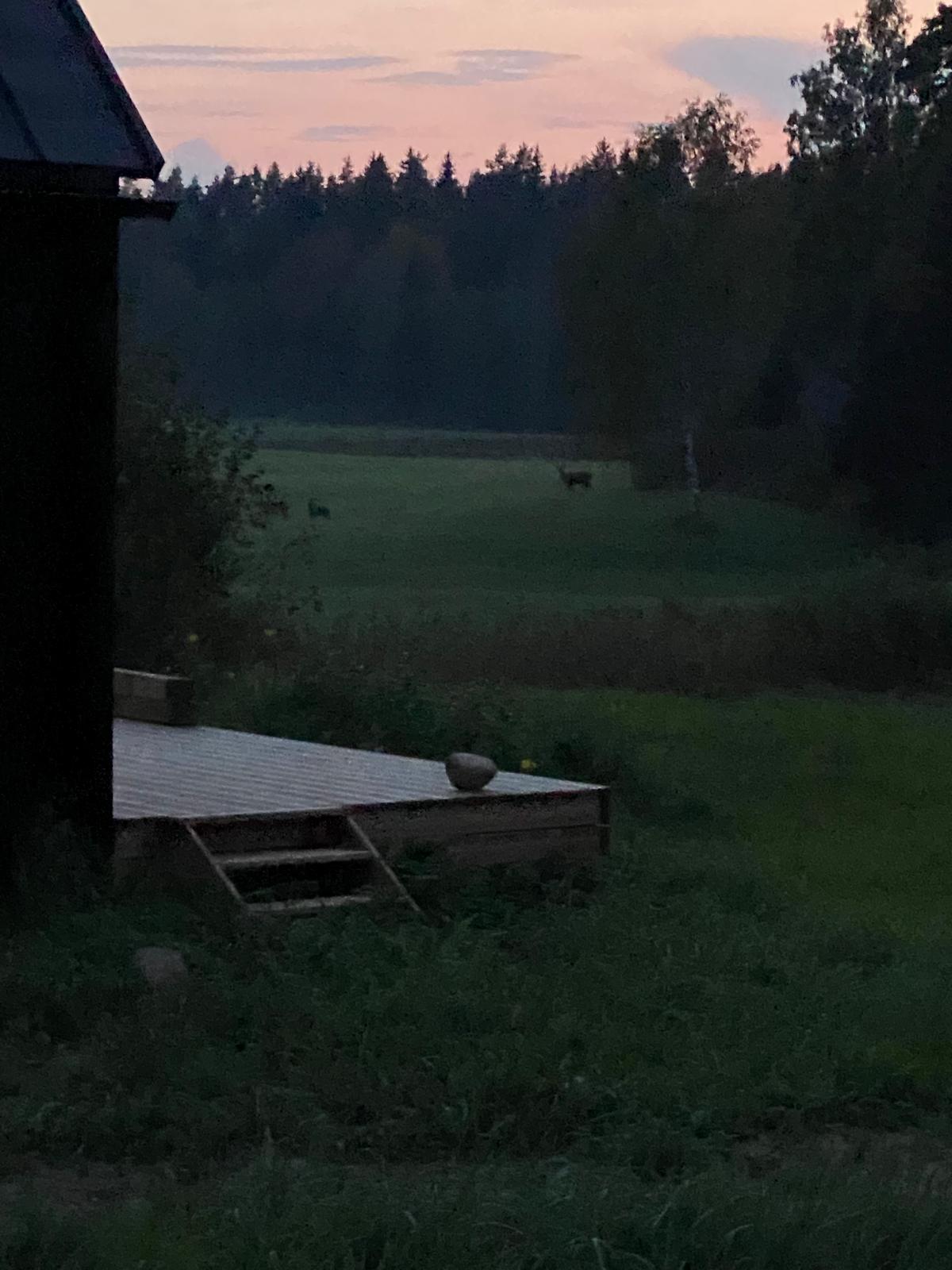 Pārnakšņošana