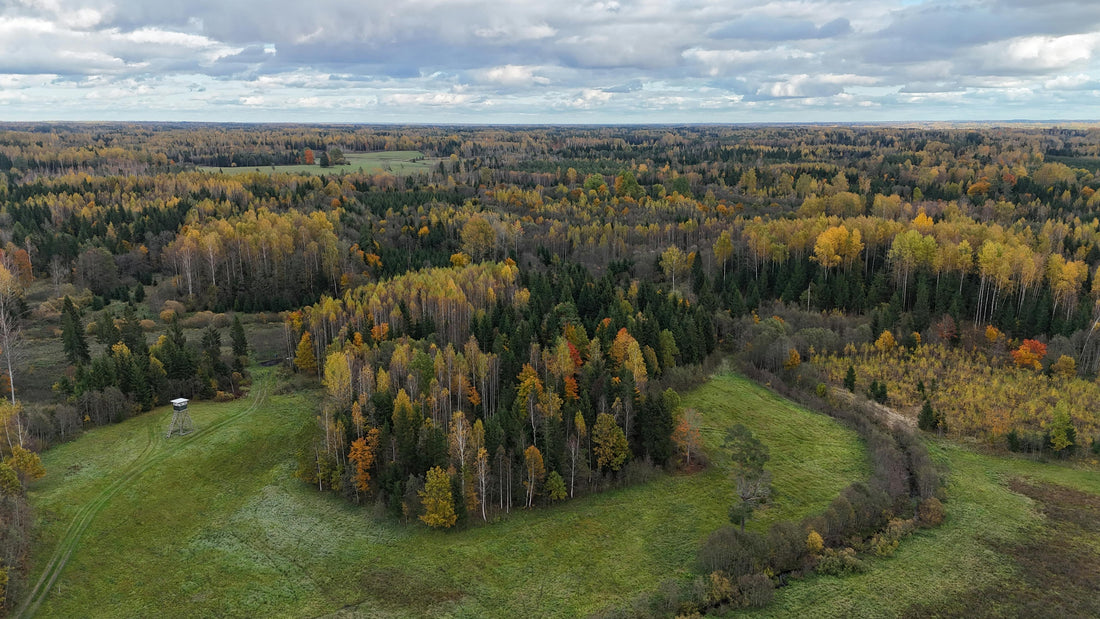 Latvijas lauki un tradicionālais ēdiens – vērtības, kas nekad nezaudē savu nozīmi
